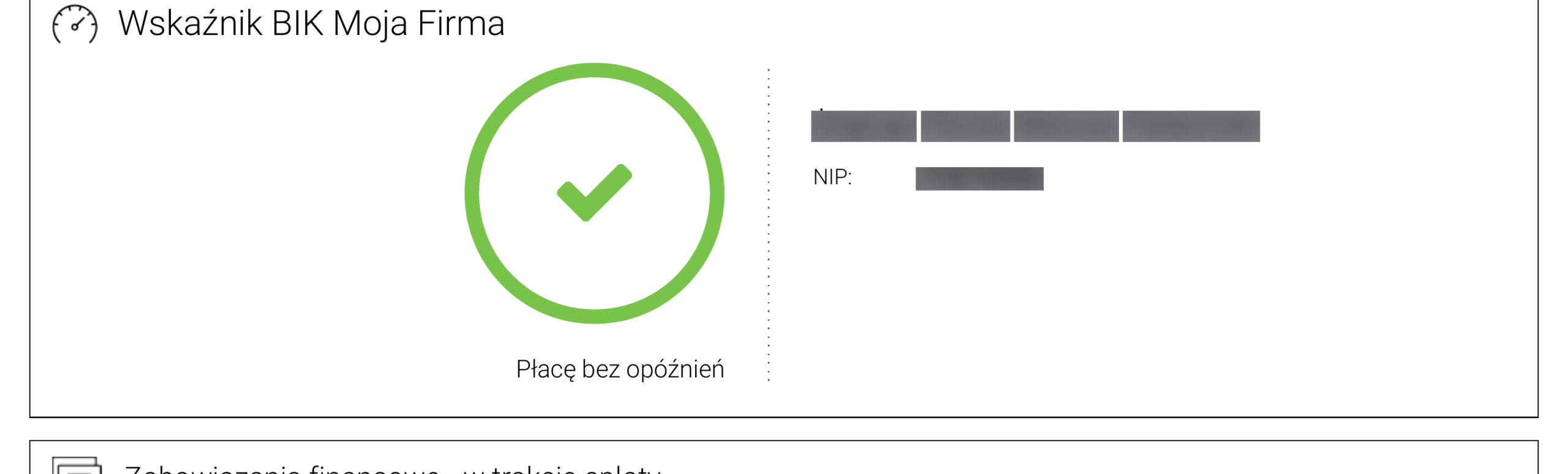 Wcześniejsze ujęcie raportu BIK – ocena prezentowana opisowo bez punktowej skali