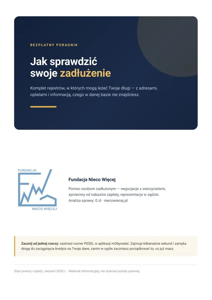 Okładka poradnika PDF: jak sprawdzić swoje zadłużenie
